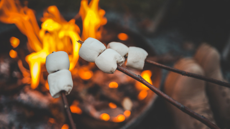Toasting marshmallows over a campfire