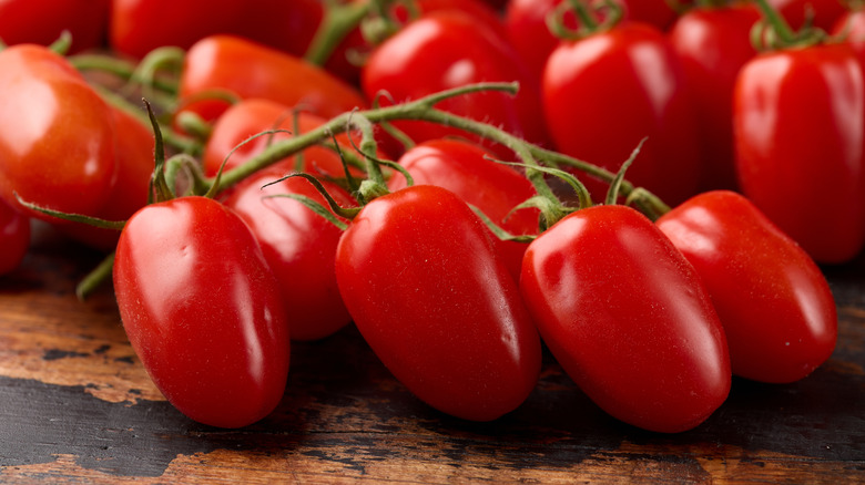 Vine of San Marzano tomatoes