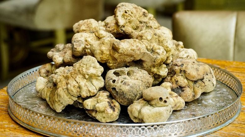 Whole white truffles on a counter