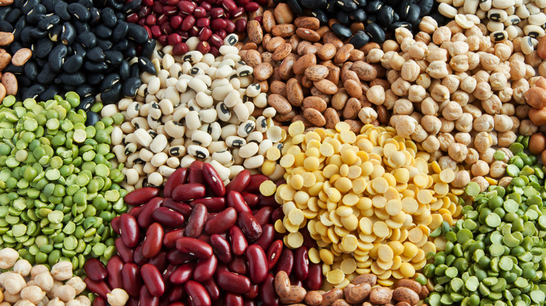 Various varieties of dried beans and lentils