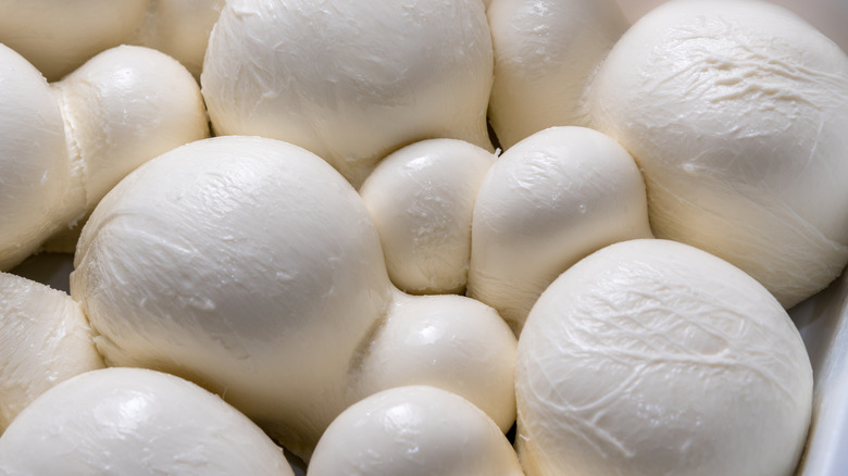 Balls of fresh mozzarella cheese