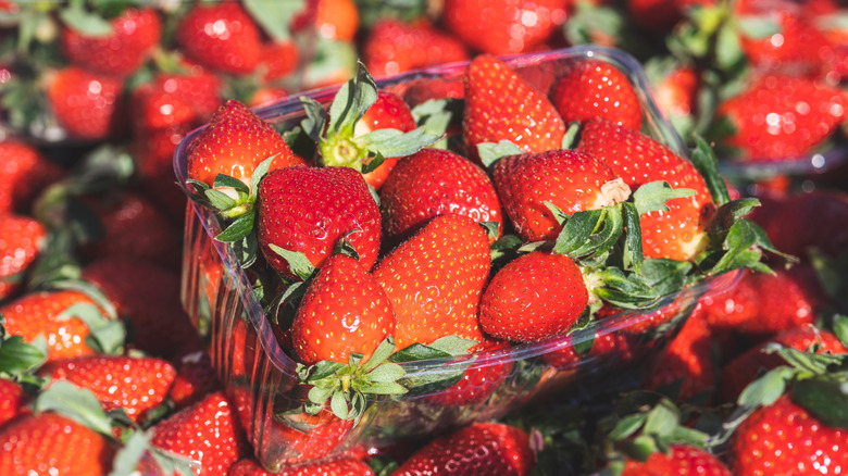 containers of strawberries