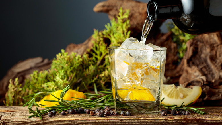 Gin is poured from the bottle into a glass with ice and a lemon wedge, which sits amid juniper branches, weathered driftwood, and forest moss.