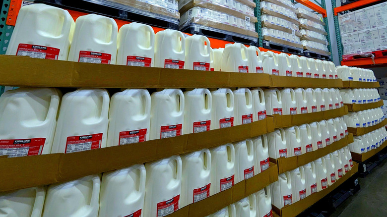 Rows of Kirkland milk in the Costco dairy section
