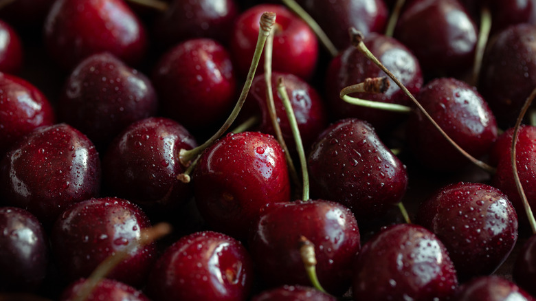 Close-up of dark cherries