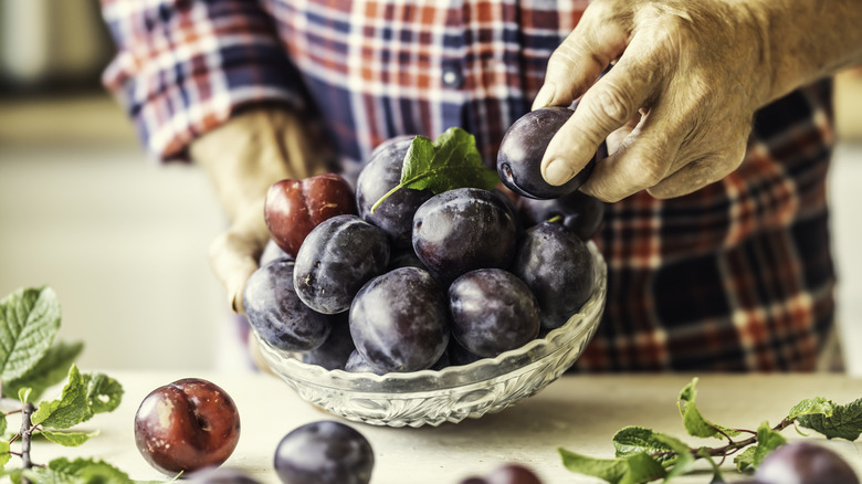 Man holding a bowl of plums