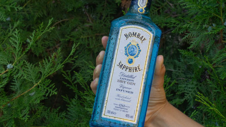 A bottle of Bombay Sapphire in someone's hand against a background of fir trees.
