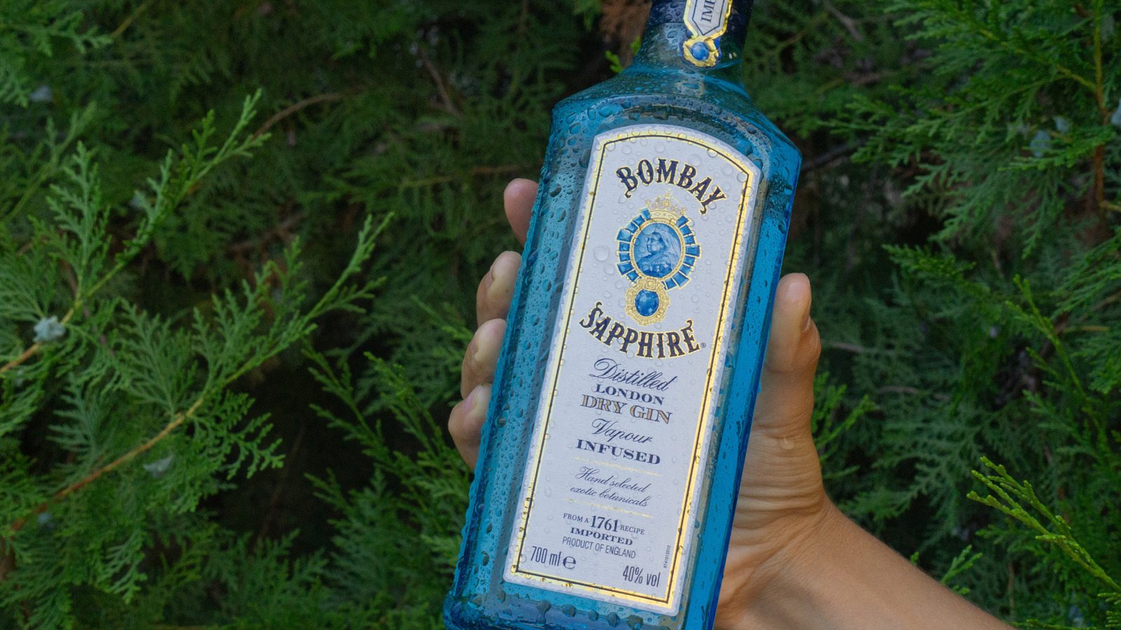10 Gins To Try If You Like Bombay Sapphire - Tasting Table