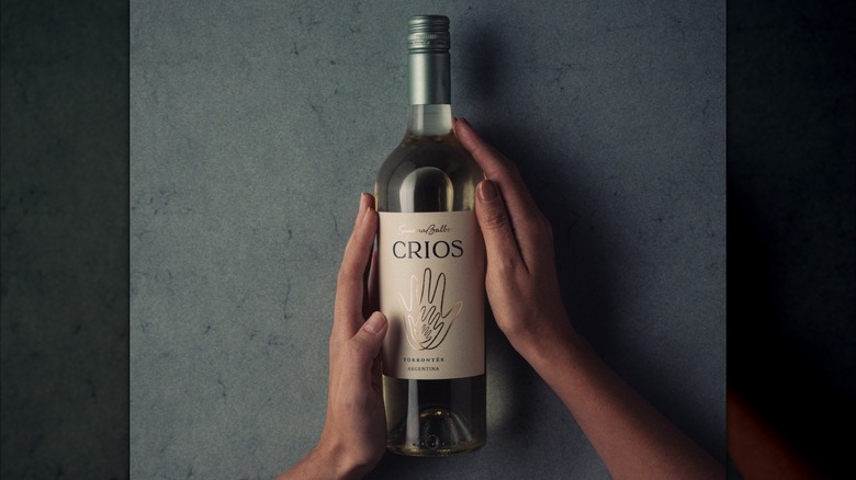 hands holding white wine bottle