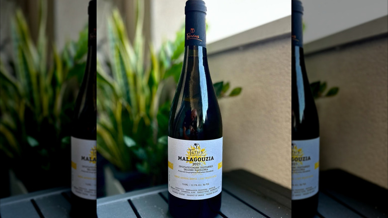 bottle of greek white wine Malagousiawith plants in the back