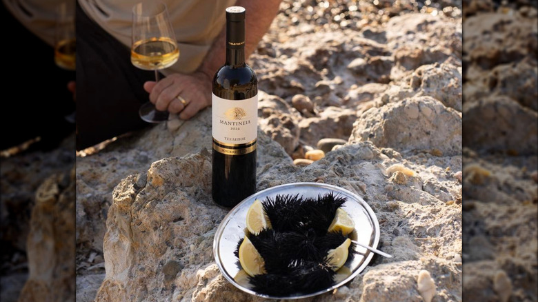 white wine bottle with sea urchins on rocky terrain