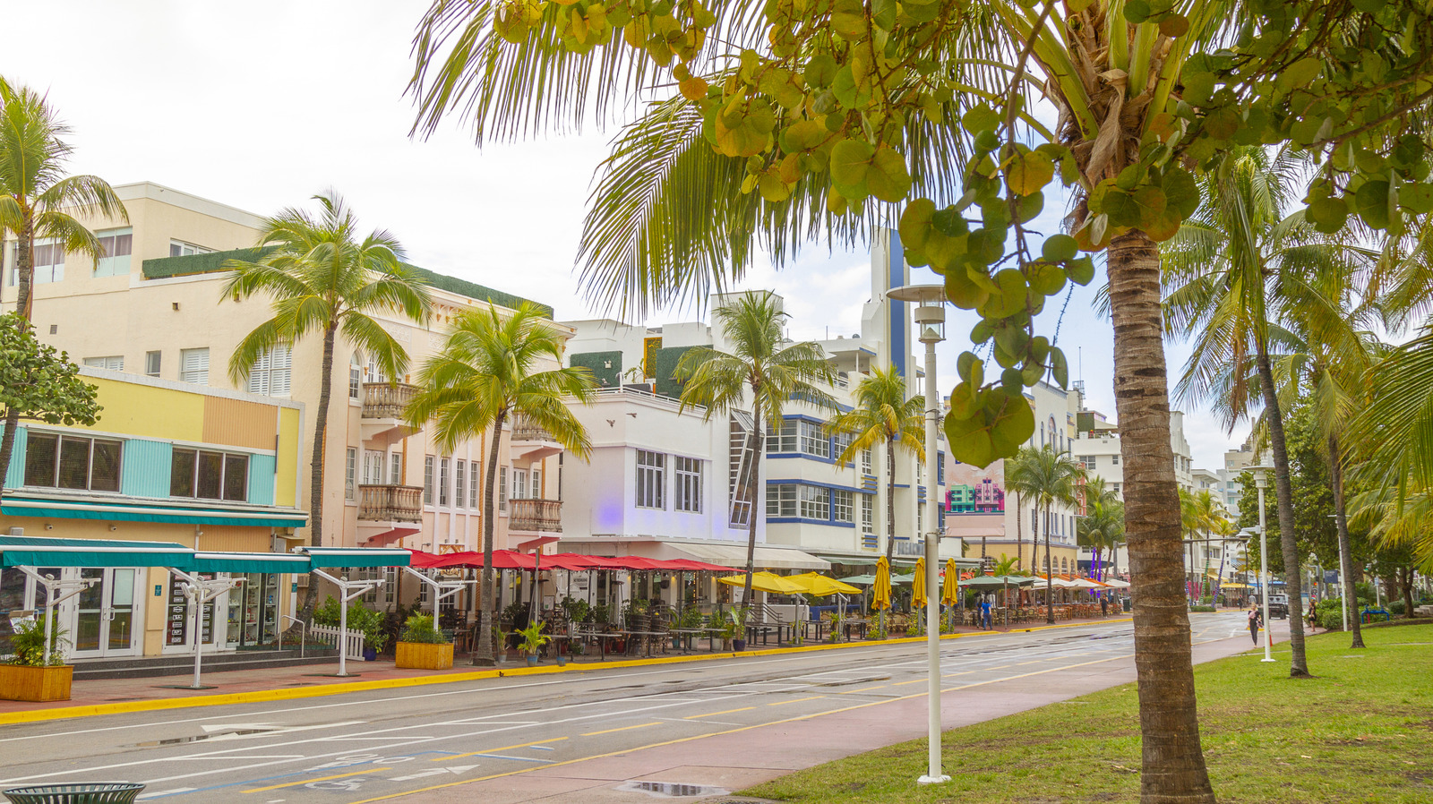 10 Incredible Miami Food Deals Spring Breakers Need To Know In 2026 - Tasting Table