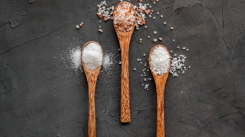Different kind of sea salt in three wooden spoons on dark surface, top view