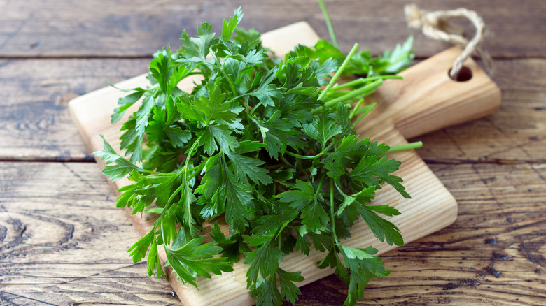 bunch of fresh parsley on a wooden cutting board