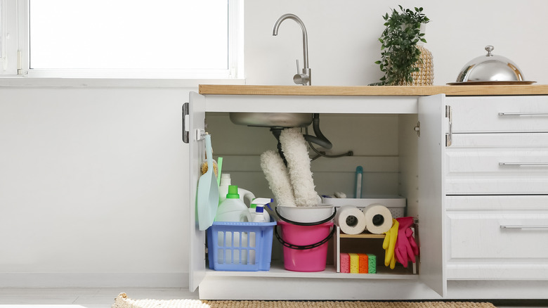 Cleaning supplies placed under the sink