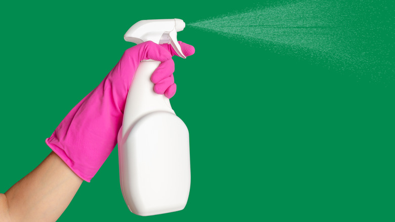 Hand wearing pink gloves and holding a spray bottle against a green wall
