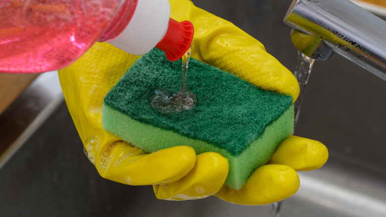Pouring washing up liquid onto kitchen sponge over sink