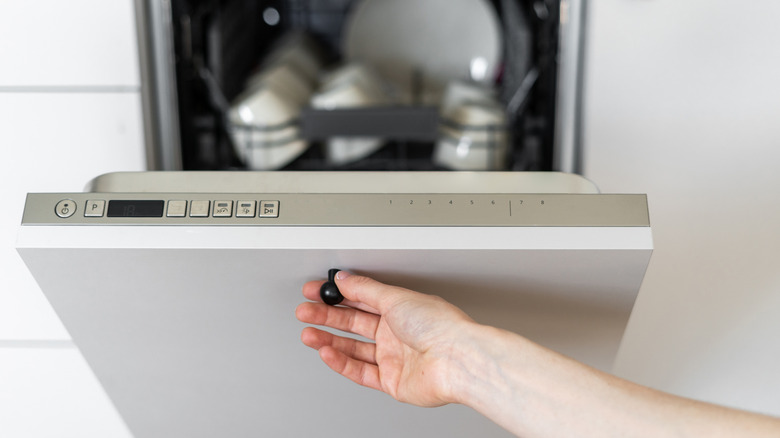 Hand opening dishwasher door