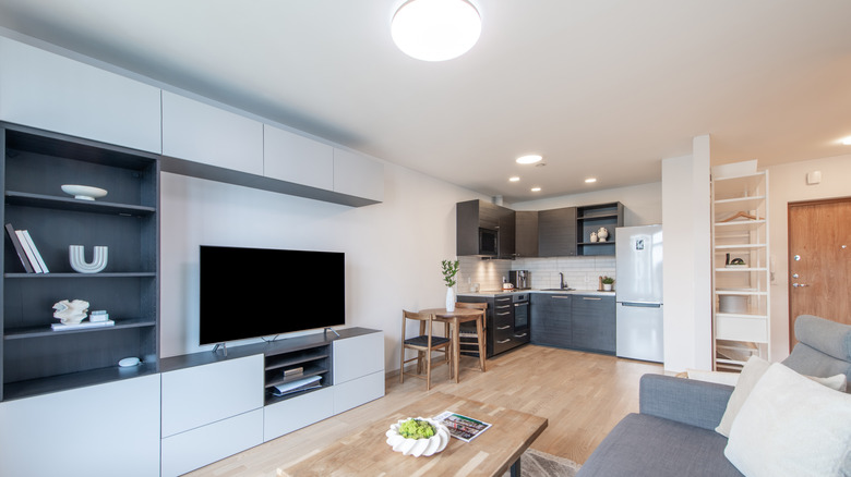 Open-plan living space with kitchen and living room furniture