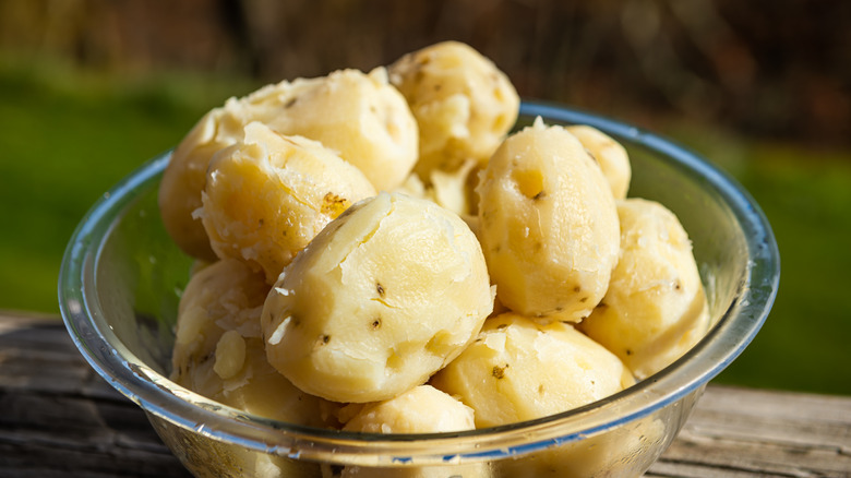 Plain peeled and boiled potatoes in a glass bowl with an outdoor background