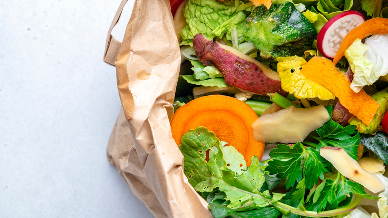 Vegetable scraps and trimmings from carrots, radishes, leafy greens, zucchini, and herbs inside brown paper bag