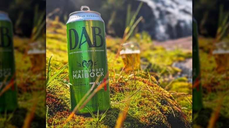Can of DAB maibock in grass in front of waterfall