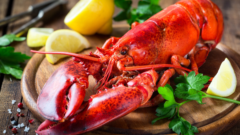Whole lobster with lemon herbs