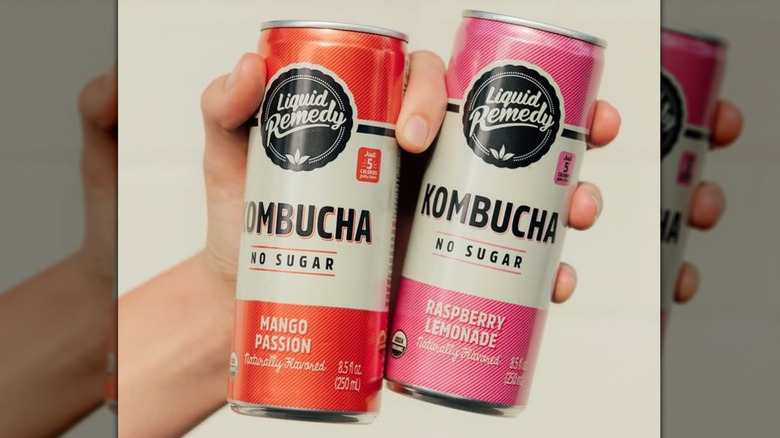 hand holding two cans of Liquid Remedy Kombucha