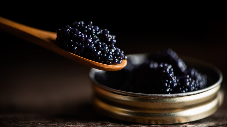 An open tin and spoonfull of caviar