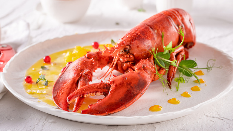 A whole cooked lobster served on a white plate with sauces and garnishes