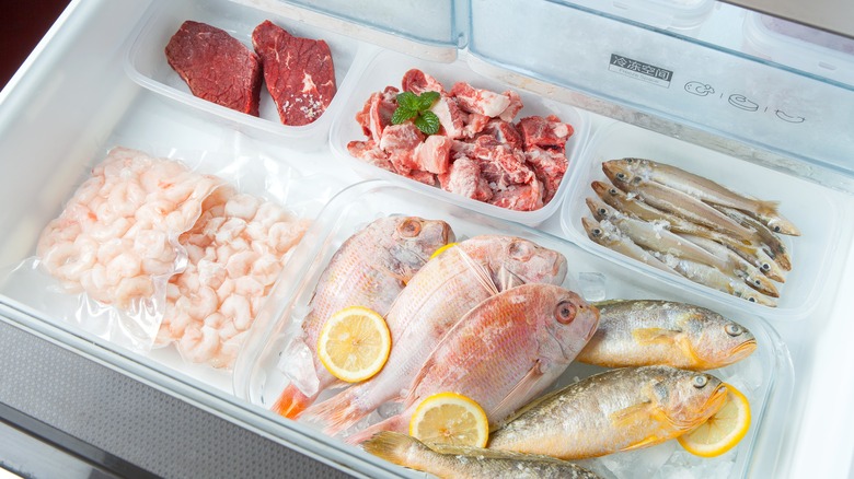 Freezer full of frozen fish and meat
