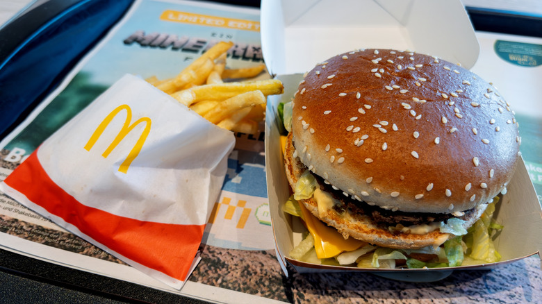 A McDonald's Big Mac and fries on a restaurant tray