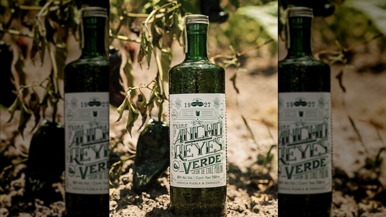 Mirrored image of Ancho Reyes bottle outside next to chile plant.