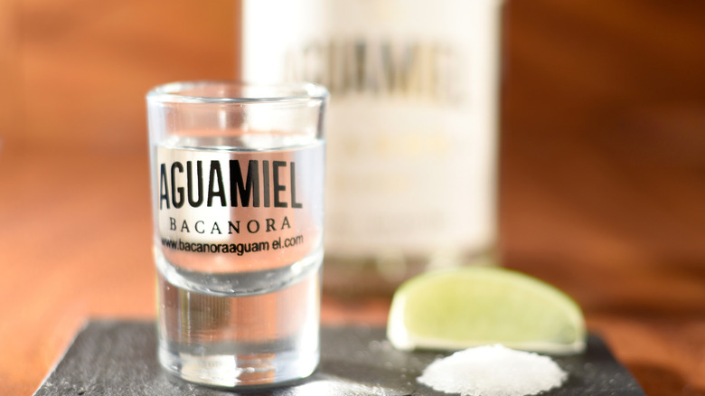 A shot and a bottle of Aguamiel bacanora.