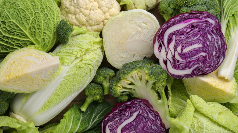 Various whole and cut cabbage varieties