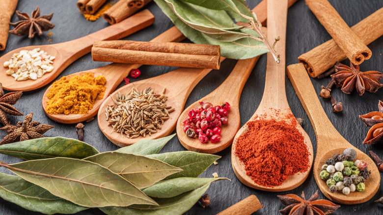 Variety of seasonings in wooden spoons on table