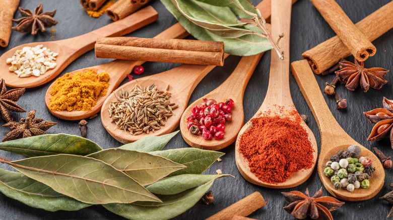 Variety of spices on wooden spoons