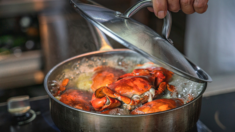 hand holding lid of pot over crab boiling in water