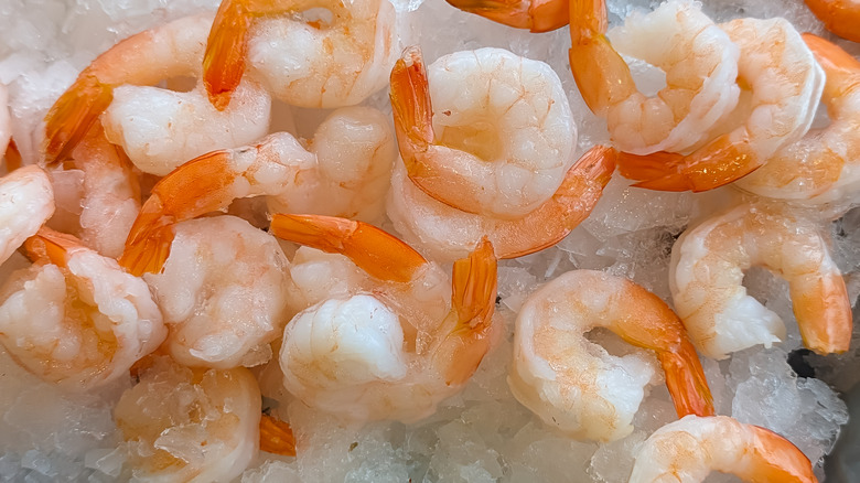 Cooked shrimp on ice