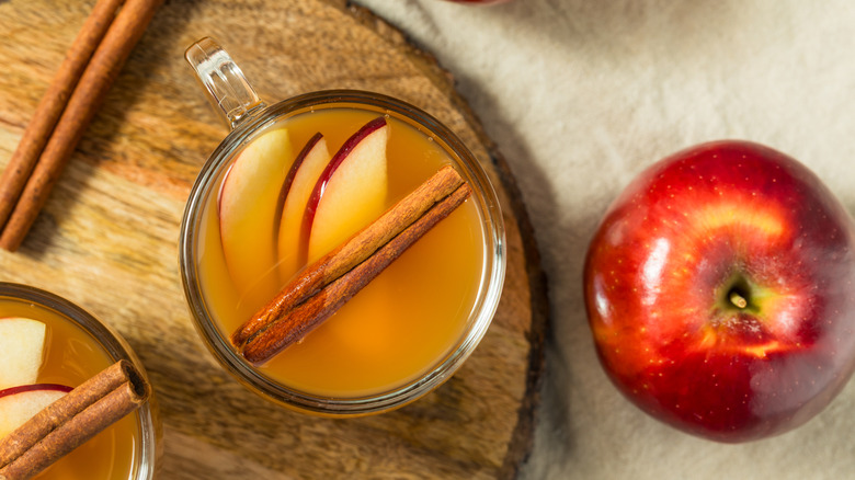 Glass of apple cider with cinnamon stick from above
