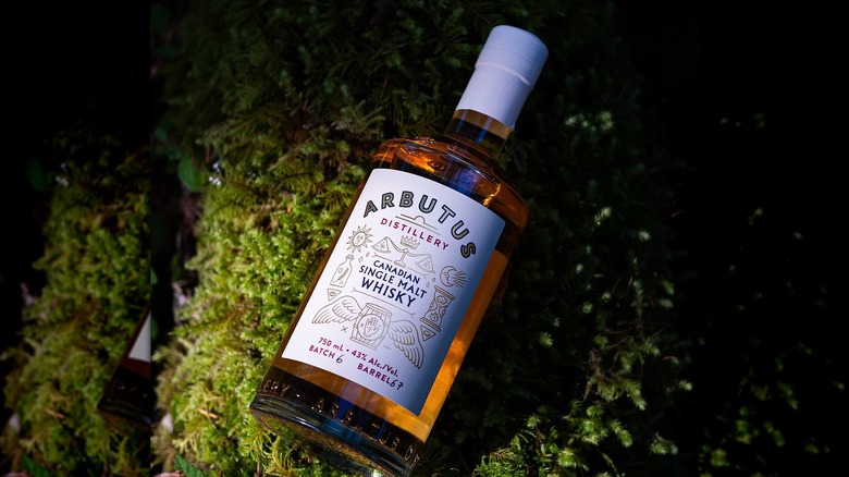 Bottle of Arbutus Distillery Single Malt Whisky on a mossy background.