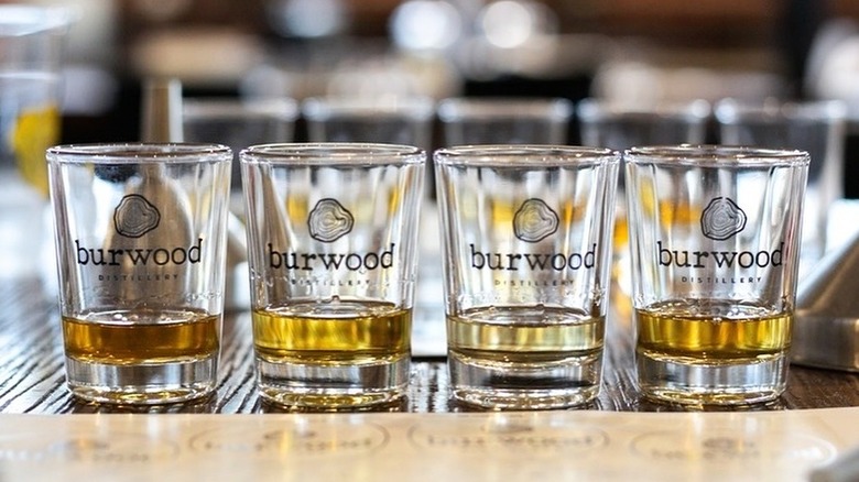 Whiskey flight in shot glasses at Burwood Distillery.