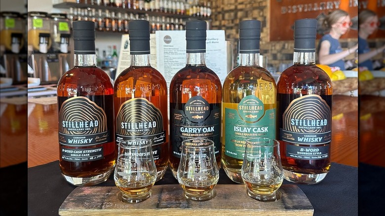 Five bottles of Stillhead Whisky behind three Glencairn glasses of whisky.