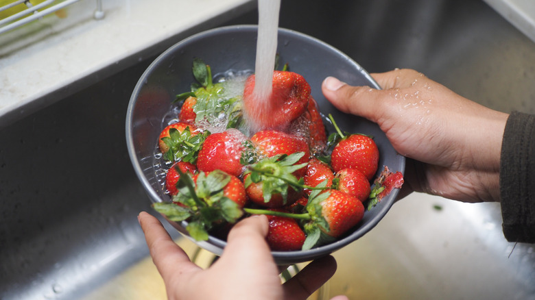Hands washing strawberries in bowl over sink
