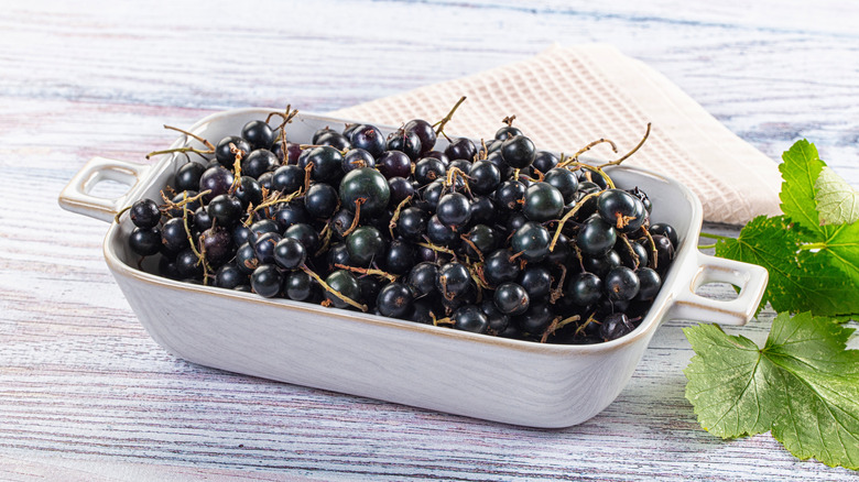 Freshly picked blackcurrants in dish