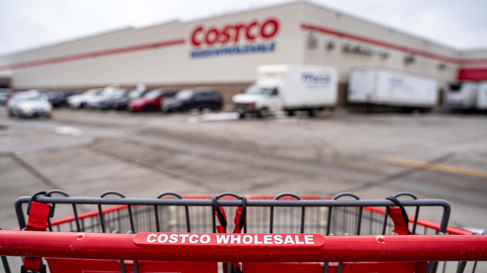 10 Of Costco's Best Items Under $20 That Feel Gourmet