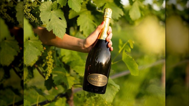Hand holding a bottle of Ca' Furlan prosecco