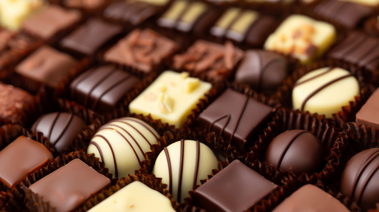 assorted gourmet chocolates close up