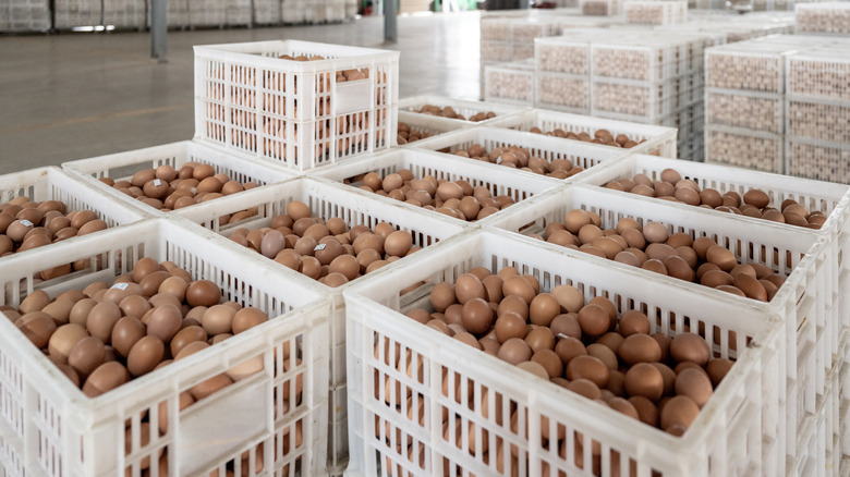 A warehouse filled with crates of brown eggs