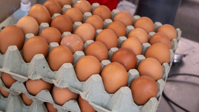 Stacked large cartons of brown eggs